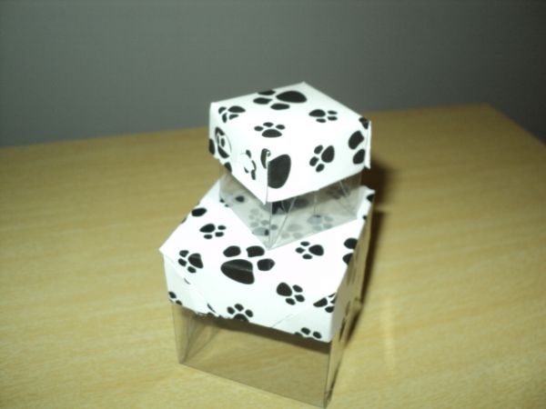 caixas de acetato pet