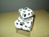 caixas de acetato pet