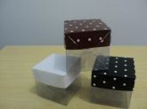 CAIXAS DE ACETATO